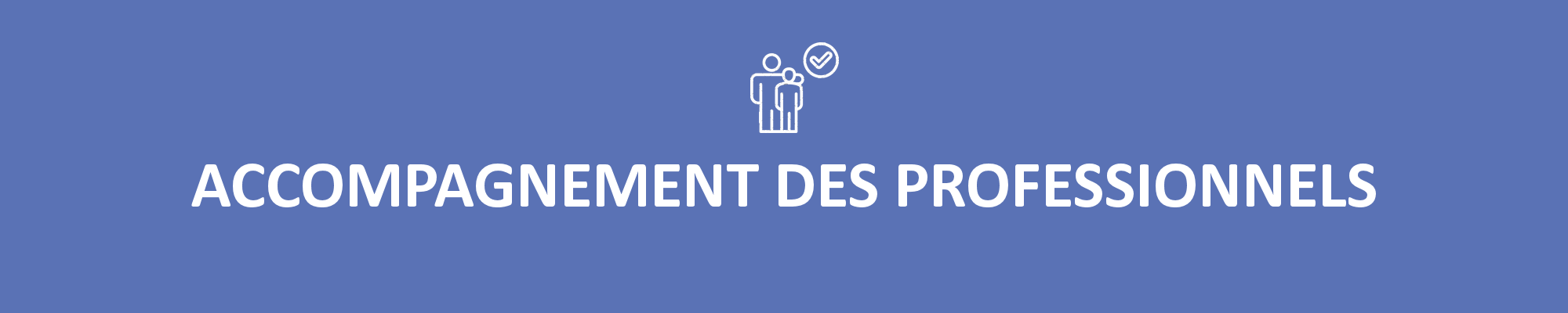header-les_actions-accompagnement_des_professionnels.png